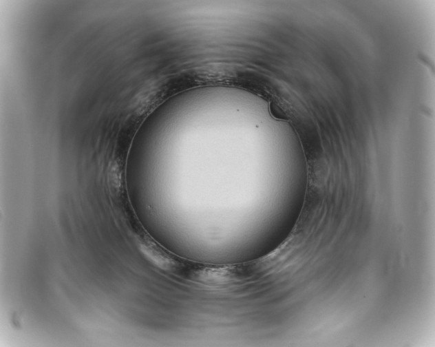 X0000093480086200710261046