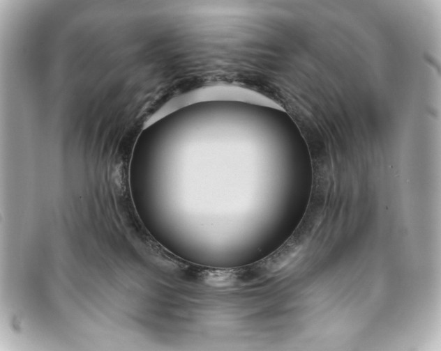 X0000093480088200710261046
