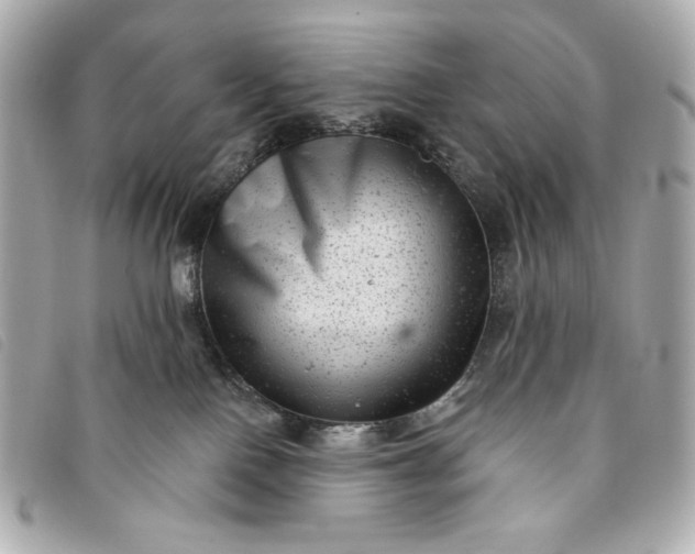 X0000093480090200710261046