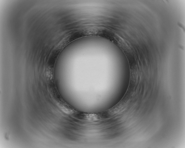 X0000093480091200710261046