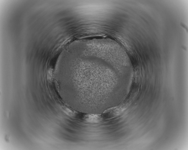 X0000093480093200710261047