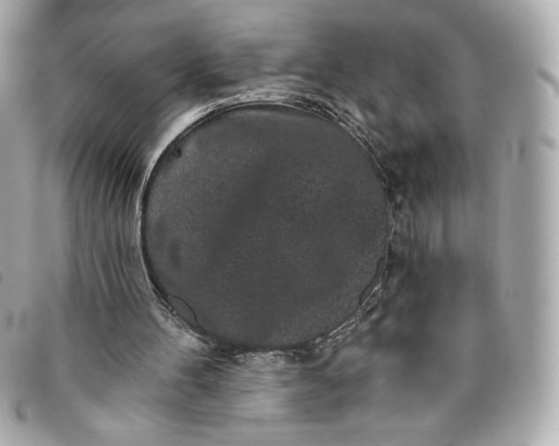 X0000093480100200710261046