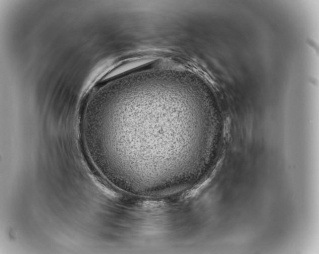 X0000093480101200710261046