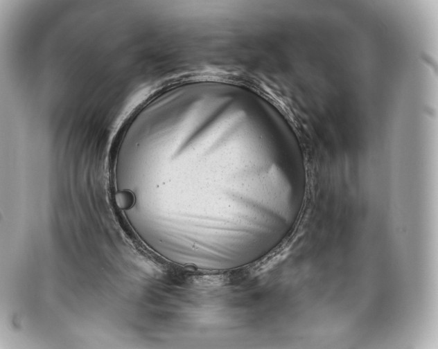 X0000093480102200710261046