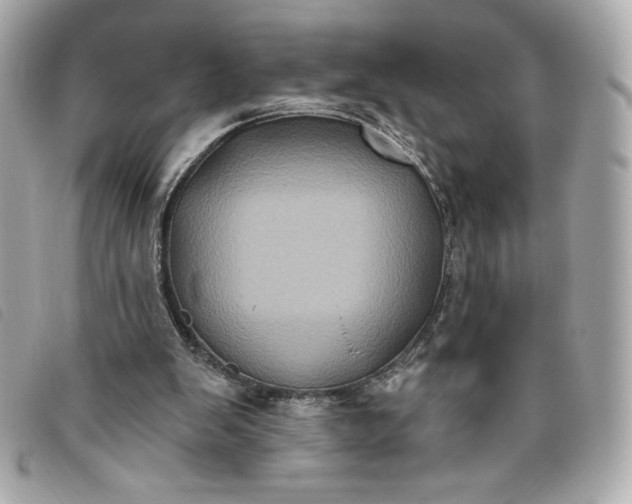 X0000093480103200710261046