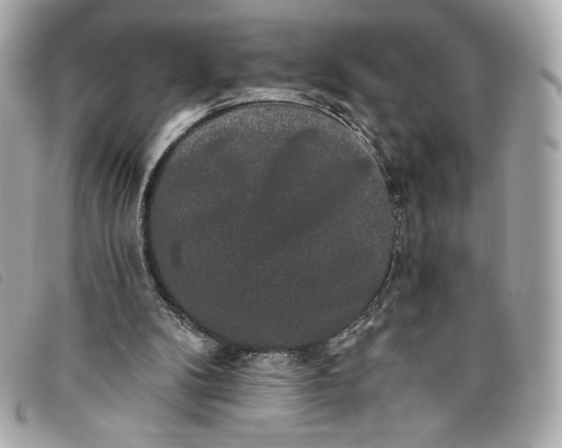 X0000093480104200710261046