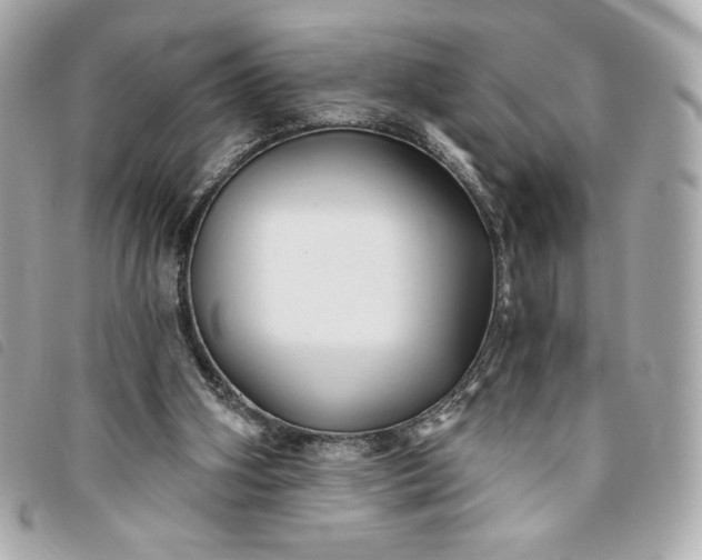 X0000093480106200710261046