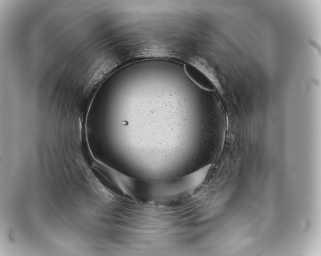 X0000093480109200710261046