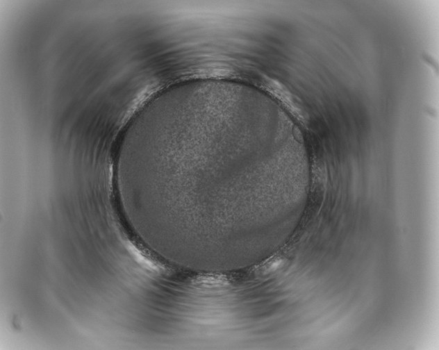X0000093480110200710261046