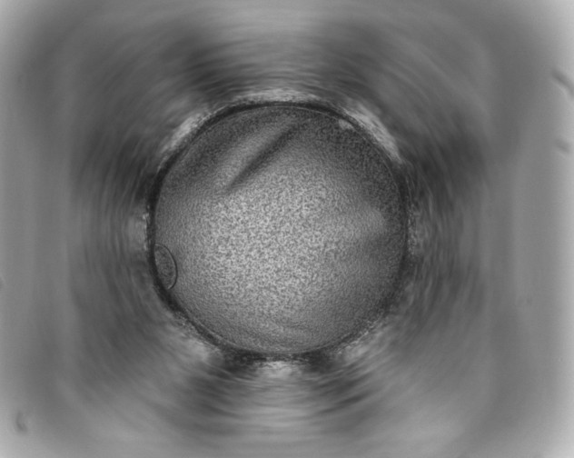 X0000093480111200710261046