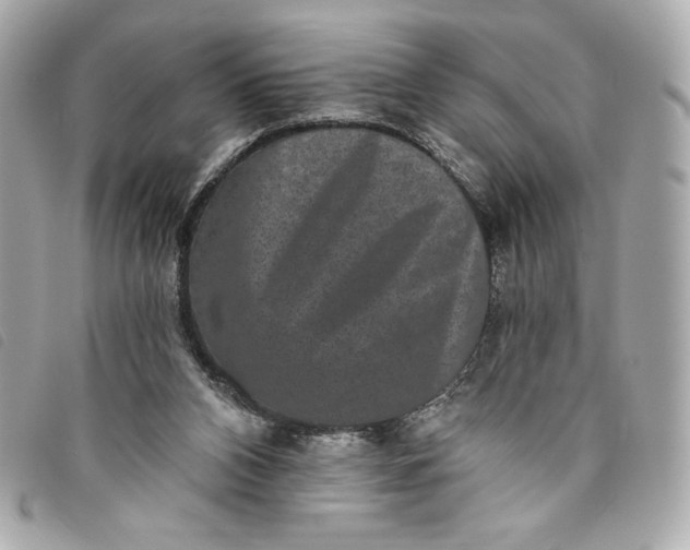 X0000093480112200710261046