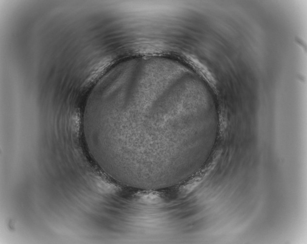 X0000093480113200710261046
