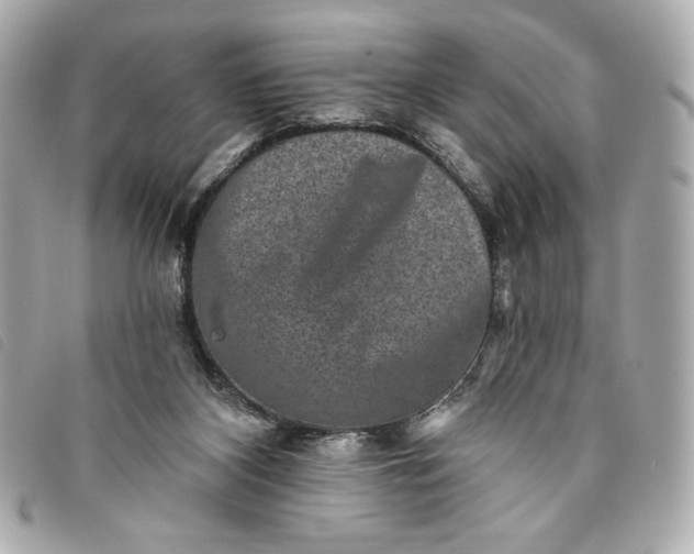 X0000093480116200710261046