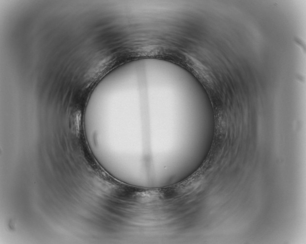 X0000093480118200710261046