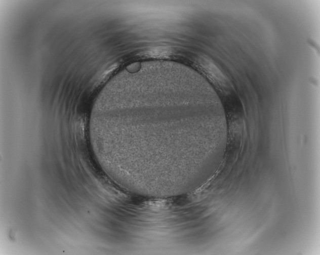 X0000093480120200710261046