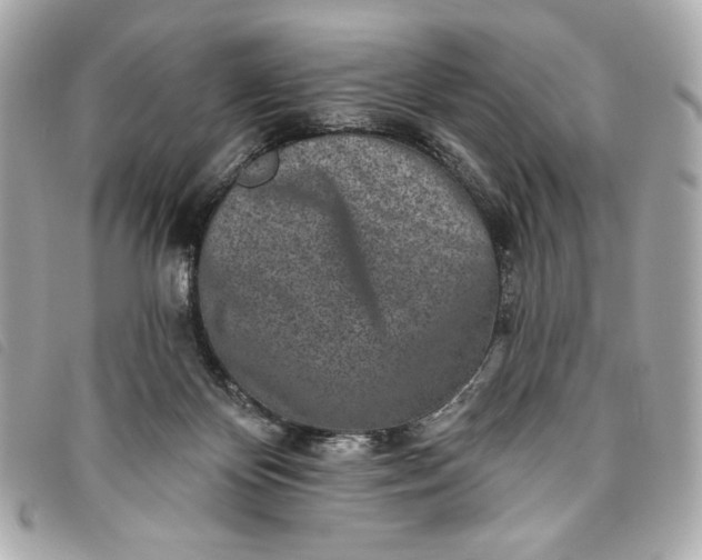X0000093480124200710261046