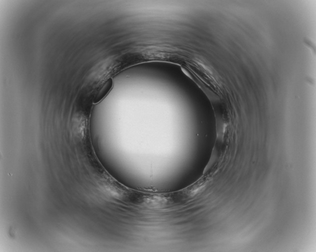 X0000093480125200710261046