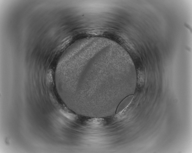 X0000093480128200710261046