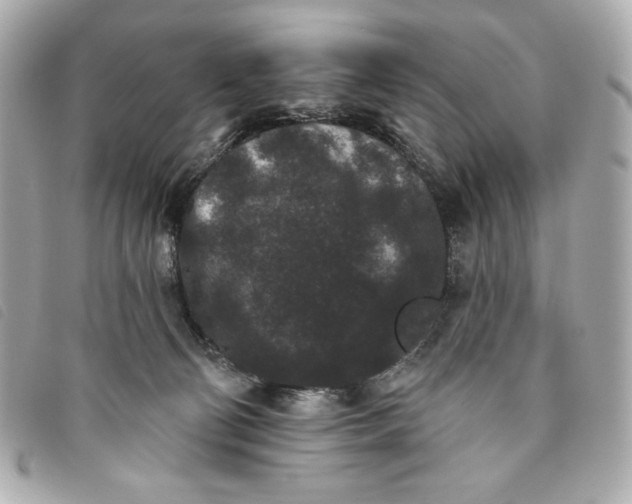 X0000093480130200710261046
