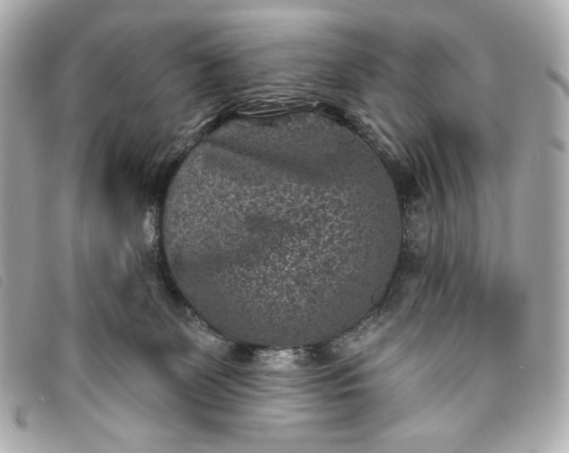 X0000093480131200710261046