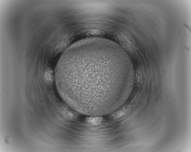 X0000093480135200710261046