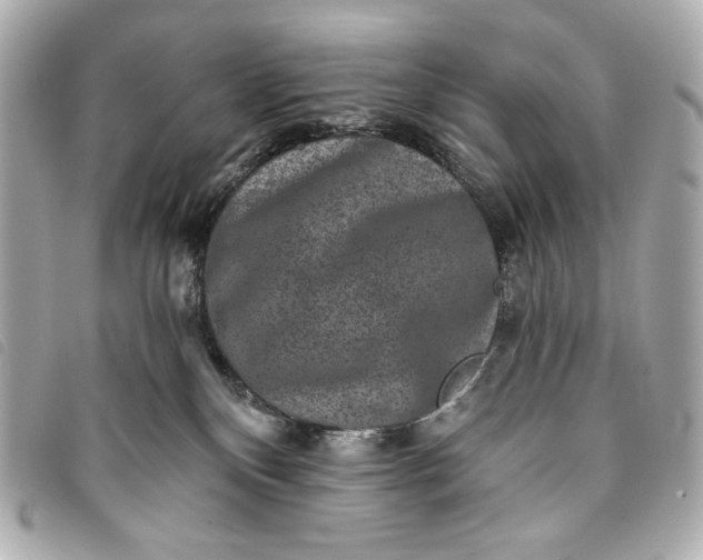 X0000093480136200710261046