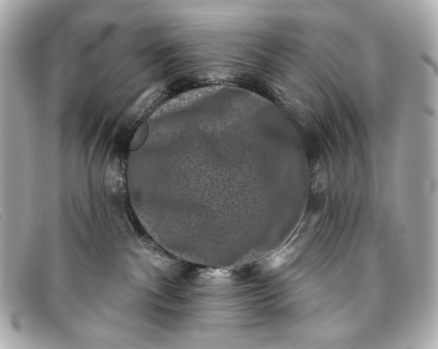 X0000093480140200710261045