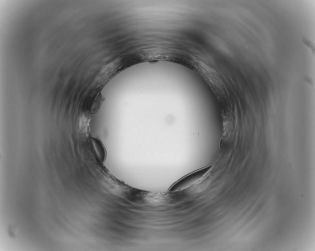X0000093480142200710261045