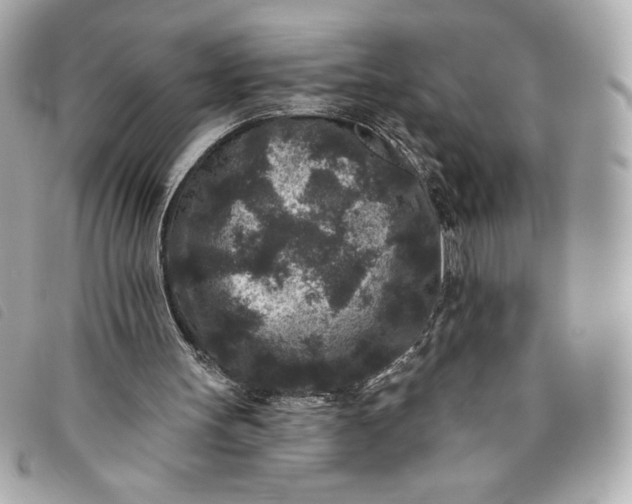 X0000093480147200710261045