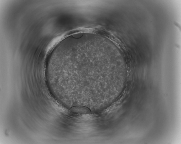 X0000093480149200710261045