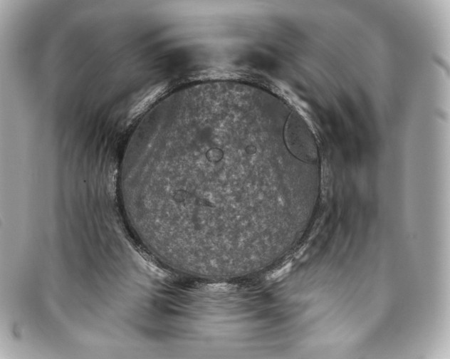 X0000093480153200710261045