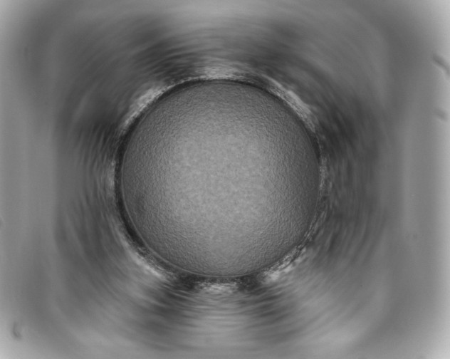 X0000093480155200710261045
