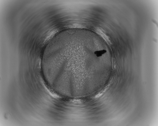 X0000093480157200710261045