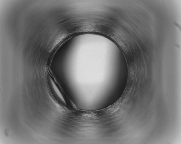 X0000093480160200710261045