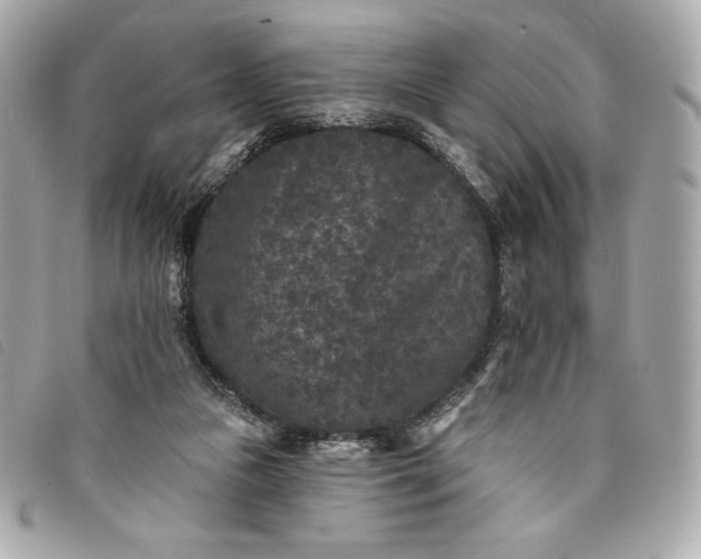 X0000093480161200710261045