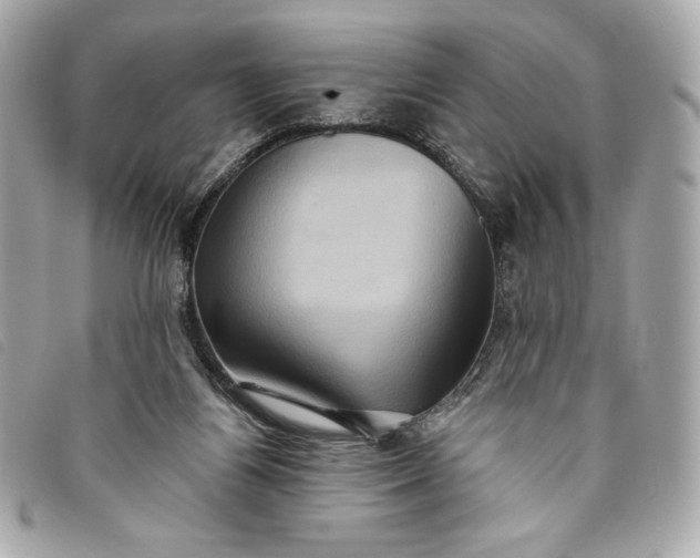 X0000093480164200710261045