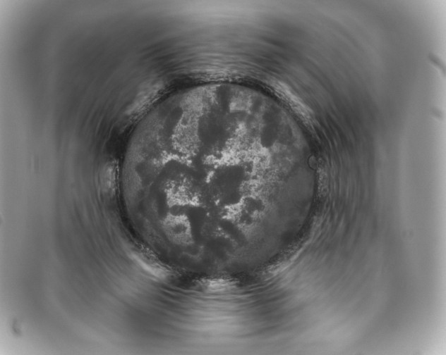 X0000093480165200710261045