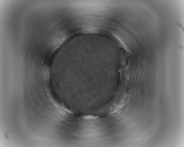 X0000093480168200710261045