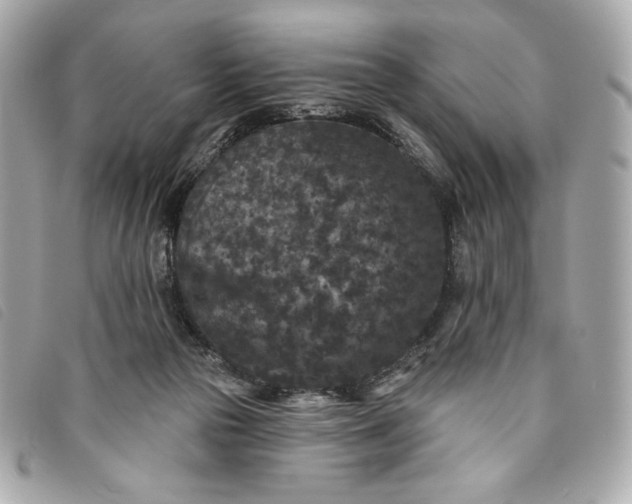 X0000093480169200710261045