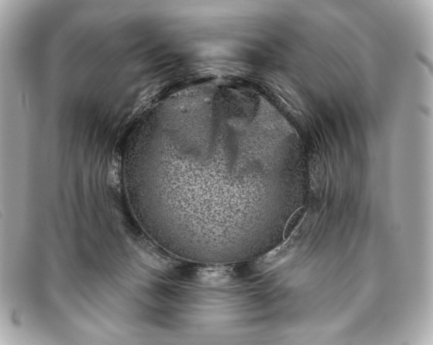 X0000093480175200710261045