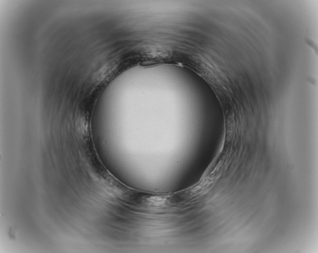 X0000093480176200710261045