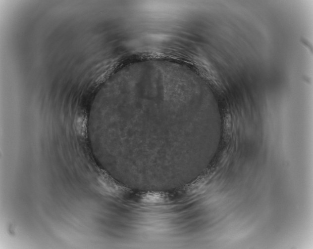 X0000093480177200710261045