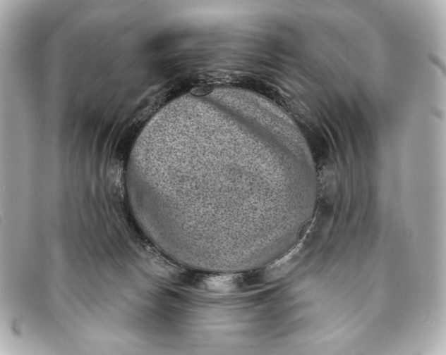 X0000093480178200710261045