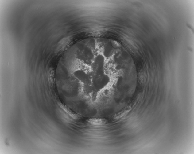 X0000093480181200710261045