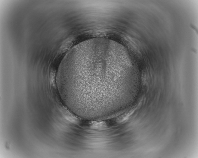 X0000093480185200710261045
