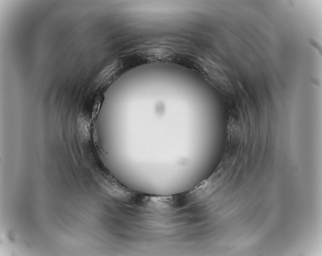 X0000093480188200710261045