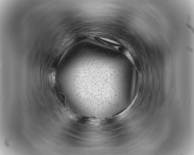X0000093480190200710261045