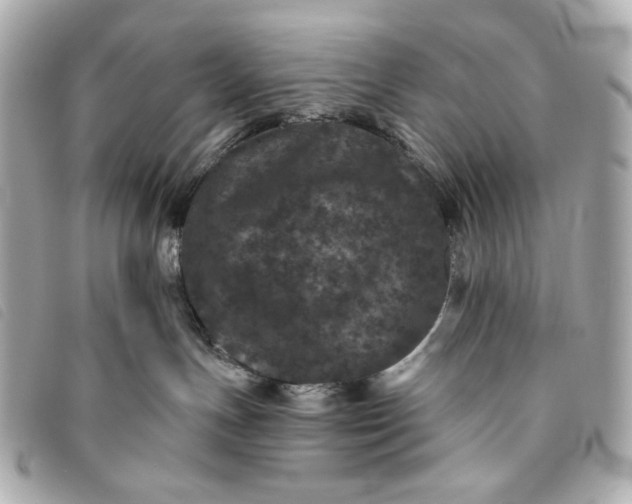 X0000093480191200710261045