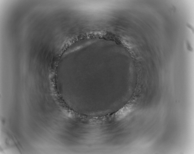 X0000093480192200710261045