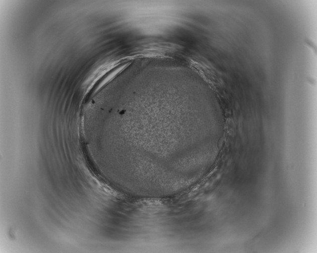 X0000093480194200710261045